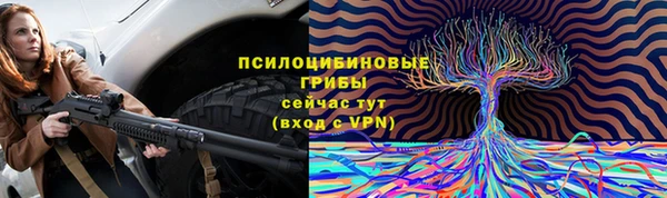 MDMA Белокуриха
