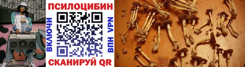 Галлюциногенные грибы мухоморы  Благодарный 