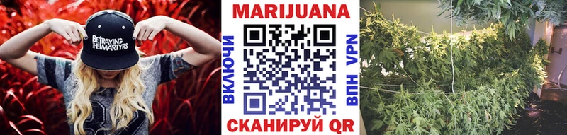 Бошки Шишки ГИДРОПОН Благодарный